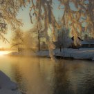 Falling Frost
